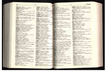 vocabolario.gif (63199 byte)
