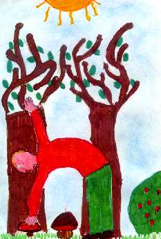 balek1.jpg (14845 byte)