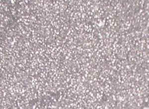 grano_ing.JPG (20997 byte)
