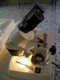 microscopio.JPG (12753 byte)
