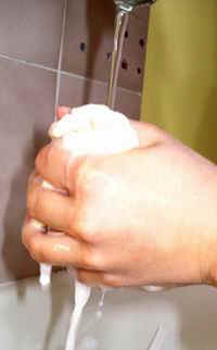 palla_amido2.JPG (8735 byte)