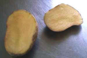 patata.JPG (8496 byte)