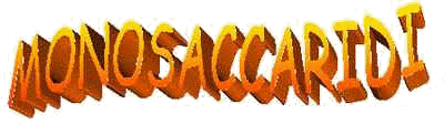 scritta_mono.jpg (11135 byte)