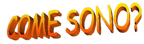sono_scritta.gif (23394 byte)