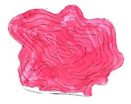 tenue.jpg (7827 byte)