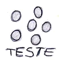 testoline.jpg (5161 byte)
