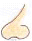 naso7.gif (4071 byte)