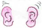 orecchie1.jpg (2828 byte)