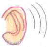 orecchie3.jpg (1844 byte)
