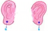 orecchie5.jpg (2704 byte)