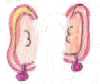 orecchie6.jpg (1740 byte)