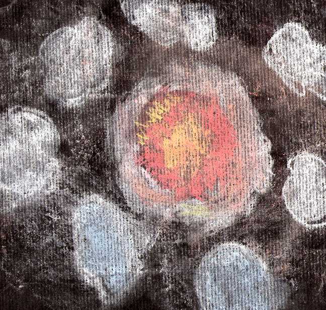 ceneri_prime_stelle.jpg (108971 byte)