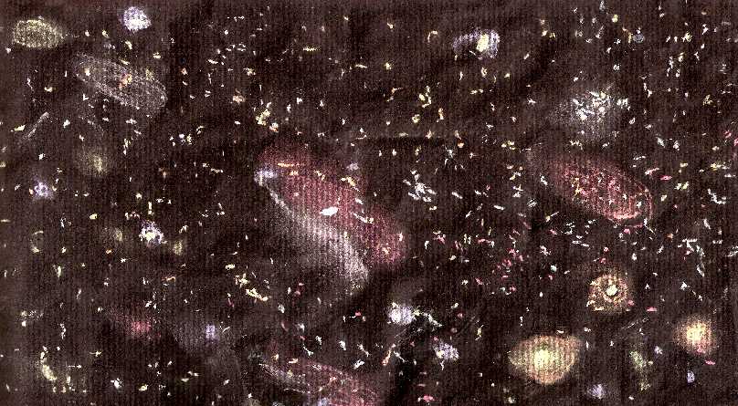 universo.jpg (79384 byte)