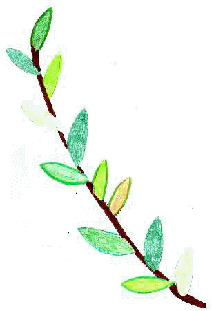 ulivo.jpg (9797 byte)